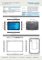 12" Rugged Tablet | TRT-4380-12-2