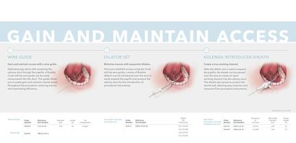 PRODUCTS FOR SALIVARY DUCT ACCESS - 2