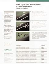 Silicone Ureteral Stents Brochure - 2