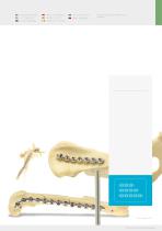 Product Catalogue-13