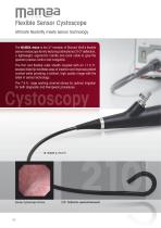 Flexible Sensor Endoscopes Brochure - 2