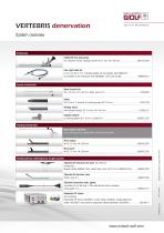 VERTEBRIS denervation - 4