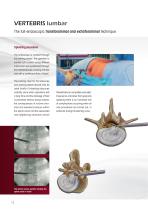 VERTEBRIS lumbar-thoracic - 12