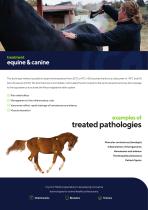 Cryoscreen for vets-2
