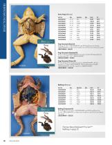 dissection materials - 10