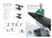 Scandia330 - 1