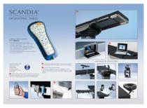 Scandia330 - 4