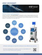 GI CAPITAL SOLUTIONS-2