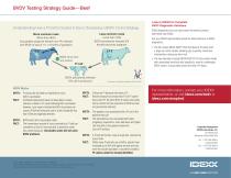BVDV Testing Strategy Guide—Beef-2