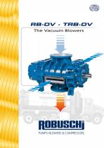 RB-DV-1
