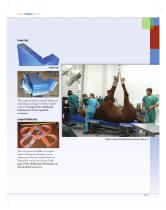 Product Catalog-11