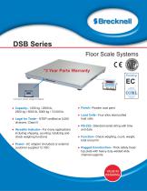 DSB Floor Scale System-1