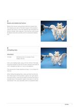 Sacral Bars - 9