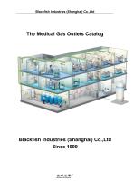 Blackfish medical gas outlet,BF-OT - 1