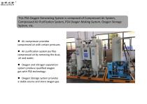 Blackfish oxygen plant,medical oxygen generator,BFFO-2