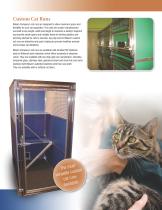 mason-cat-solutions-7