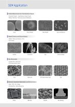 Scaning Electron Microscope-5