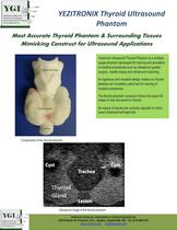 Thyroid Ultrasound Phantom - 1