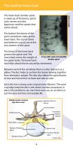 ROI-A:Patient EDUCATION-4
