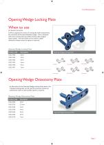 Foot Plating System-5