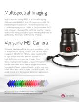 Verisante_MSI - 2
