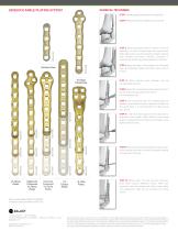 GRIDLOCK ANKLE PLATING SYSTEM - 2