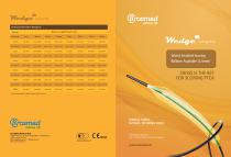 Wedge SC scoring balloon catheter-1