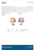 Ear 1.5x-3