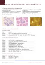 material_didactico-2