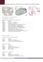 material_didactico-8