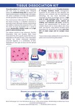Precellys Multi Tissue Dissociation Kit-2