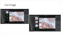 Microscope imaging anlysis software - 11