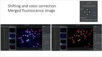 Microscope imaging anlysis software - 18