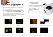 Stereo fluorescence microscope MZX81 MZX80 and fluorescent attachment for stereo microscope MZX-BG-LED - 2