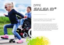 Salsa M2 Mini-4