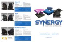 Synergy_Bifold - 1