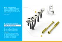 Ankle Plating System 3 Brochure (LEX40-05-F)-6