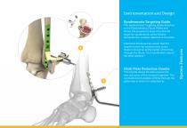 Ankle Plating System 3 Brochure (LEX40-05-F)-7