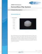 ZHS1 Cementless Hip System-4