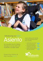 Asiento Flyer-5