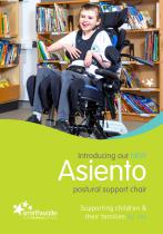 Asiento Flyer-6