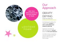 Introduction to Levitex-3