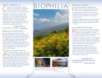 Healthcare Brochure-5