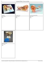 ANATOMICAL MODELS ESP MODELS  Brains and Heads-6