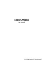 MEDICAL MODELS ESP MODELS Dental Education - 1