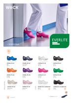 EVERLITE-1