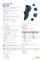 EVERLITE +-2