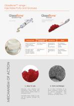 GlassBone" Bioactive Bone Substitute-3
