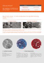 GlassBone" Bioactive Bone Substitute-4