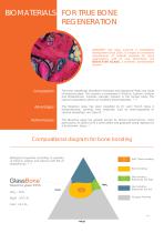 GlassBONE™ Bioglass Bone Substitute-2
